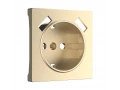 Накладка для USB розетки /W1179511 (шампань)