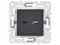 SKANDY Розетка USB A+C 18Вт SK-R13T титан IEK