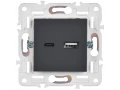 SKANDY Розетка USB A+C 18Вт SK-R13T титан IEK