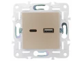 SKANDY Розетка USB A+C 3,1А SK-R14Sh шампань IEK