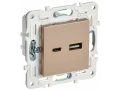 SKANDY Розетка USB A+C 3,1А SK-R14Sa песочный IEK