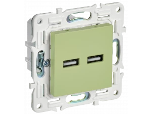 SKANDY Розетка USB A+A 3,1А SK-R15G мятный IEK