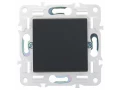 SKANDY Выключатель 1-клавишный кнопочный 10А SK-V14G графит IEK