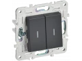 SKANDY Выключатель 2-клавишный проходной с индикацией 10А SK-V10T титан IEK