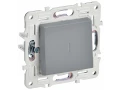 SKANDY Выключатель 1-клавишный с индикацией 10А SK-V07Gr серый IEK