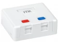 ITK Корпус настенной розетки для установки двух модулей Keystone Jack белый
