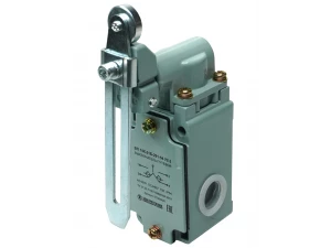 ВП 15К-21Б-291-54 У2.3, рычаг с роликом, регулируемый по длине, полумгновенный, IP54  (ЭТ)