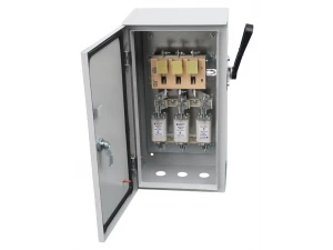 ЯРПП-100-54 УХЛ2, с ППН-33 100А, держатели медь, IP54  (ЭТ)