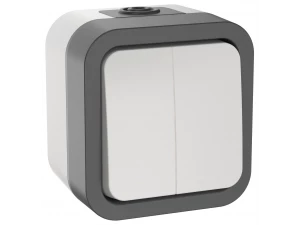 TORS Выключатель двухклавишный 10А IP55 TS205 серо-белый IEK