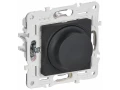 SKANDY Светорегулятор поворотный 600Вт SK-D01G графит IEK
